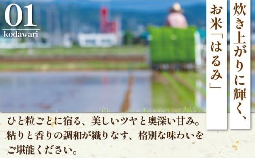 新米 先行予約 特Aランク 米 はるみ 5kg 令和7年 10月以降 順次発送 こめ 令和7年度産 甘い ツヤ キヌヒカリ コシヒカリ こしひかり しんまい kome ※ お米 白米 ご飯 ごはん 弁
