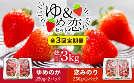 【先行予約】【全3回定期便】いちご イチゴ 苺 ゆめのか 恋みのり 計 1kg「ゆめ恋セット」 （250g × 4パック）【2026年2月以降順次発送】《壱岐市》【蒼花】 [JEO003] 45000 45000円