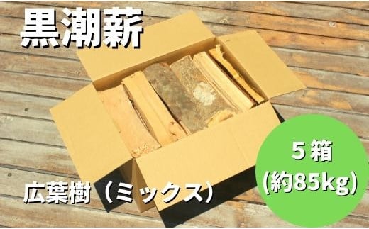 24-266．【数量限定】薪ストーブやアウトドアに！黒潮薪本舗の黒潮薪5箱（合計 約85kg）【発送期間：2024年8月～2025年3月31日まで】