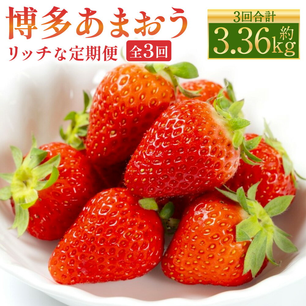 【ふるさと納税】博多 あまおう リッチな 3回 定期便 計3.36kg 計12パック あまおう いちご イチゴ 苺 ベリー 果物 くだもの フルーツ デザート おやつ お取り寄せ 冷蔵 国産 九州 福岡県 送料無料【2025年12月上旬～2026年2月下旬発送予定】