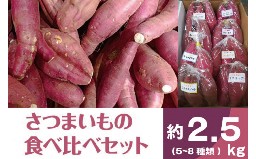 【2026年11月より順次発送】2026年度産 いろんなさつまいも食べ比べセット 約2.5kg(5～8品種)|さつまいも サツマイモ いも 芋 食べ比べ 茨城県 行方市（BZ-16）