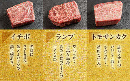 飛騨牛 希少部位食 5種 食べ比べステーキセット（各100g）計500g （サーロイン・ヒレ・ランプ・イチボ・トモサンカク）【22-51】