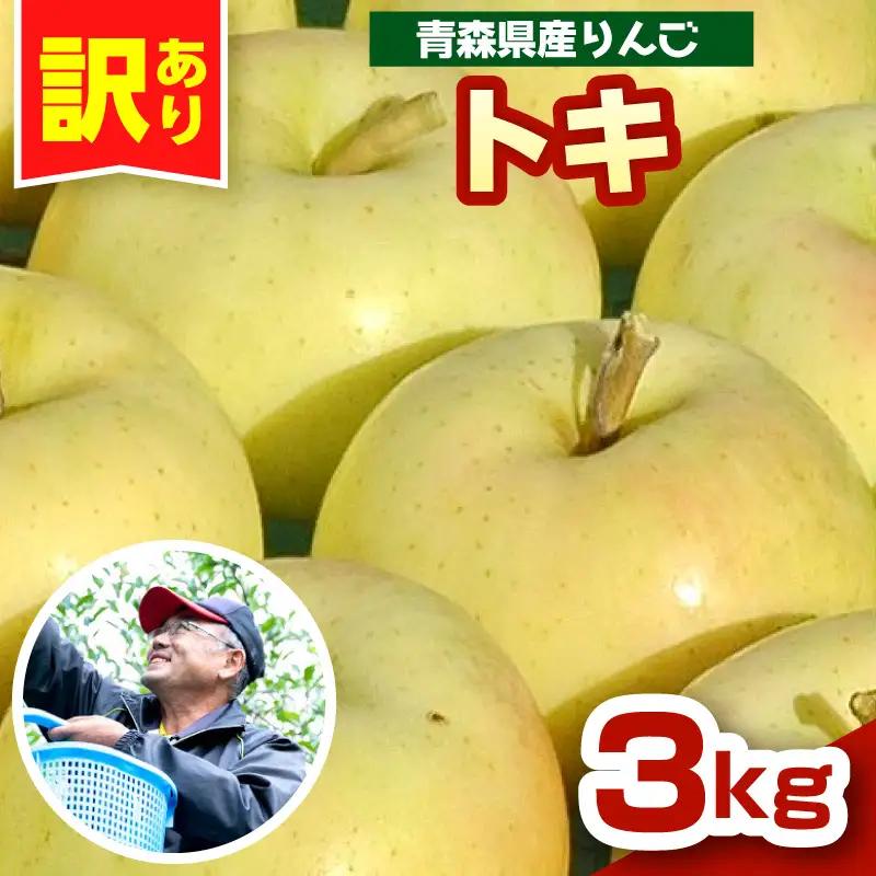 りんご　トキ約3kg 訳あり 10月中旬以降発送青森県五所川原市 りんご