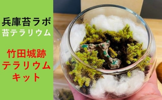 天空の城 「竹田城跡」をイメージした苔テラリウムキット