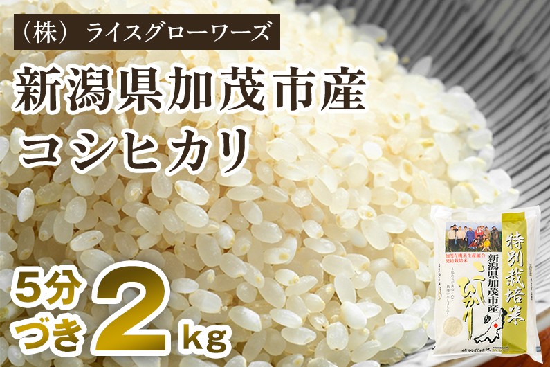
                  【令和8年産新米先行予約】【5分づき】新潟県加茂市産 特別栽培米コシヒカリ 精米2kg《10月上旬～順次出荷》 従来品種コシヒカリ （株）ライスグローワーズ
                