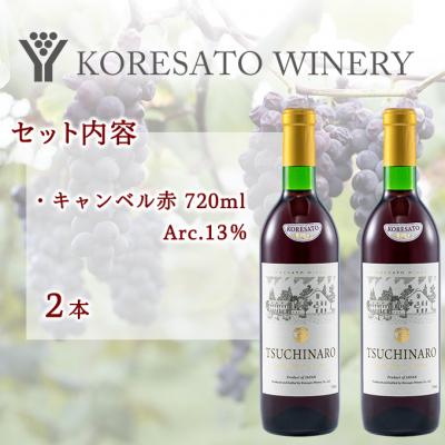 ふるさと納税 赤磐市 是里 ワイン 果実酒 キャンベル赤 720ml  2本[NO5765-1260] |  | 01