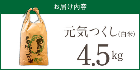 【2026年10月より順次発送】福岡県産ブランド米元気つくし 白米 4.5kg【令和8年産 新米】 _  元気つくし 4.5kg  福岡県産 ブランド米 精米 新米 福岡生まれ 品種 香り豊か ふっく