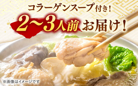 【ギフトBOX付き】福岡限定！はかた地どり美人水炊きセット　2～3人前　   桂川町/株式会社 MEAT PLUS[ADAQ089]地鶏水炊き 地とり水炊き 九州産 博多地鶏 博多水炊き 水炊き 水炊