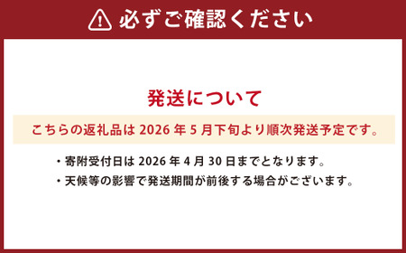 熊本県産 マンゴー 4玉 計約2kg フルーツ 果物 くだもの 熊本県産【2026年5月下旬発送開始】