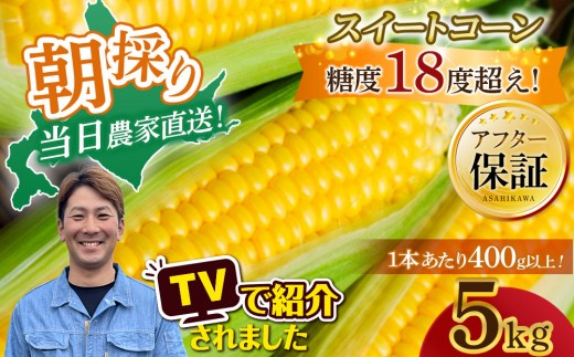 地元テレビで紹介!【先行予約】糖度18～19度! 北海道旭川産朝採れスイートコーン約5kg (2026年8月中旬発送開始予定) 【 とうもろこし コーン ゴールドラッシュ 野菜 旬 お取り寄せ 北海道