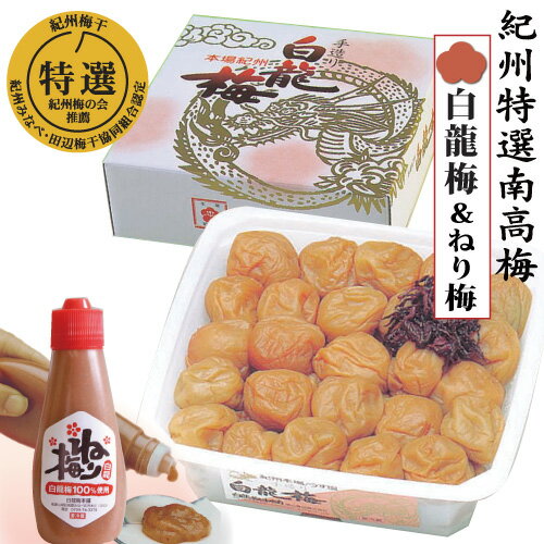 【ふるさと納税】本場紀州白龍梅 1.5kg＆ねり梅 | 梅干し 梅干 梅 ウメ うめ 白龍梅 白龍ねり梅