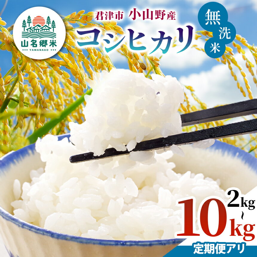 【ふるさと納税】 無洗米 定期便 3回 令和7年産 君津市 コシヒカリ 選べる回数 選べる容量 2kg 3kg 5kg 10kg | あかかげ農園 山名郷米 千葉稲作 こしひかり 米 こめ お米 イチオシ 千葉県産 きみつ