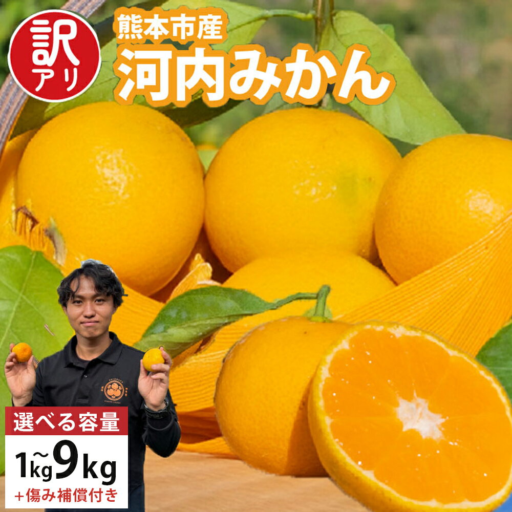 【ふるさと納税】 ＜選べる内容量＞【訳アリ】「河内みかん堂」のみかん 1kg / 4kg / 9kg 傷み補償付き（約5玉） みかん ミカン 蜜柑 訳あり 家庭用 柑橘 フルーツ 果実 果物 くだもの 熊本県産 国産 送料無料 【2026年11月上旬～2027年2月上旬まで発送予定】