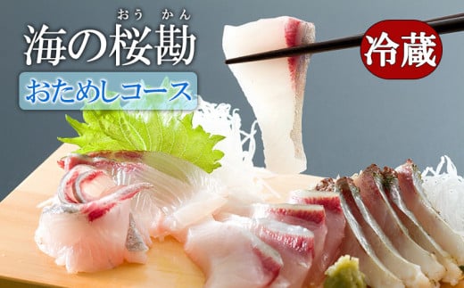 A1-0124／『海の桜勘』おためしコース