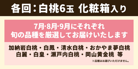 【先行予約】岡山の桃食べ比べ定期便3回コース 株式会社山博 (中本青果)《2024年7月上旬から9月下旬発送予定》岡山県 浅口市 桃 もも フルーツ 旬 果物 国産 岡山県産 送料無料 冷蔵 食べ比べ