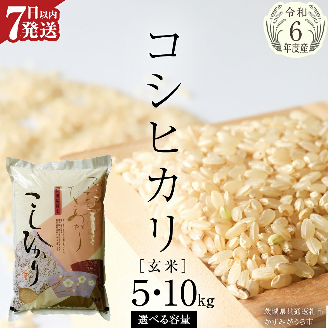 【ふるさと納税】《 令和6年産 》 コシヒカリ 玄米 5kg ～ 10kg ( 選べる 内容量 ) (茨城県共通返礼品 かすみがうら市) 米 ごはん もっちり 甘い コメ お米 玄米