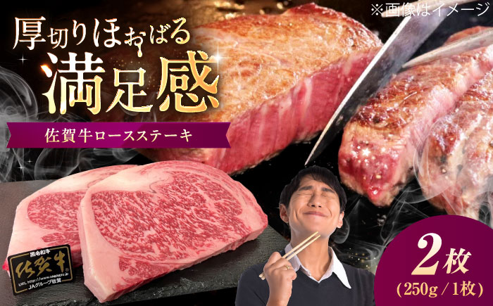 佐賀牛 ロースステーキ 500g（250g×2枚） / 牛肉 / 佐賀県 / 織田精肉店 [41ADAB002]