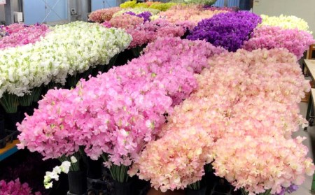 【R8年1月以降発送】 【3回定期便】スイートピー 花束 50本（ミックス） / お花 生花 ギフト 贈り物 プレゼント 九州 [IBW006]