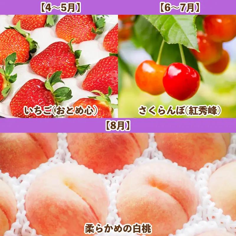 【定期便6回】フルーツBOX  FZ25-287