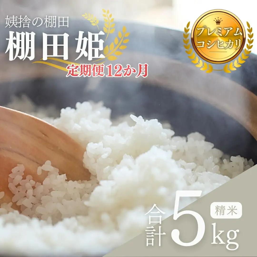 【2026年先行予約】【令和8年産】定期 12ヶ月 姨捨の棚田 プレミアムコシヒカリ 「 棚田姫 」 5kg | コシヒカリ
