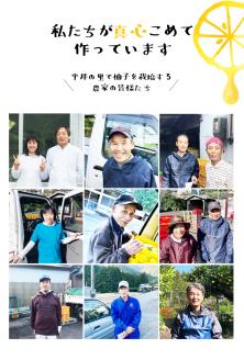 古座川町の 柚子シャーベット 8個入 ゆず 柚子 柚 ユズ フルーツ スイーツ アイスクリーム ジェラート【yuz116】