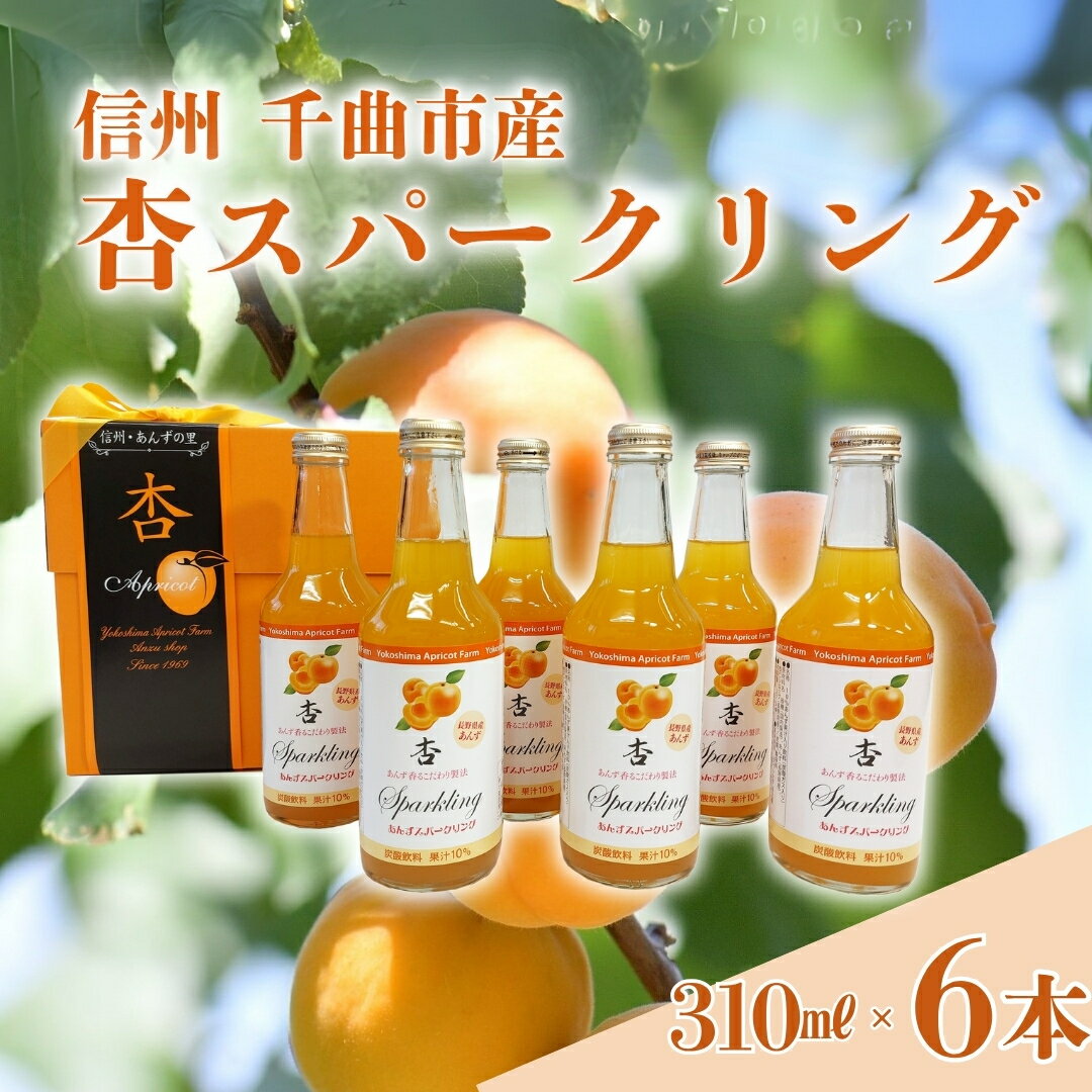 【ふるさと納税】杏スパークリング (炭酸ノンアルコール6本セット)|炭酸飲料 あんずサイダー ご当地サイダー フルーツ あんずジュース 果汁100%ジュース 炭酸ジュース ジュース スパークリング あんず 信州 長野 千曲市 送料無料