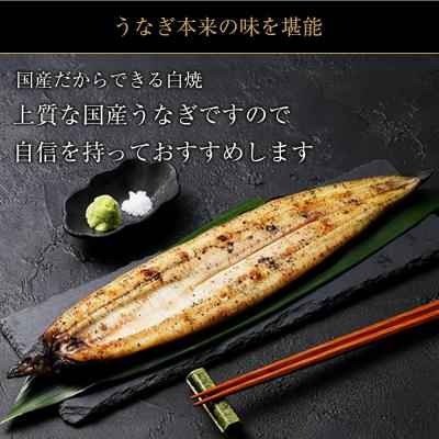 ふるさと納税 大崎町 鹿児島県大隅産　千歳鰻の白焼鰻　1尾・鰻焼肝セット |  | 01