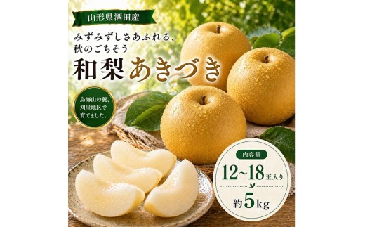 刈屋梨　あきづき　約5kg(12～18玉入) SB0933