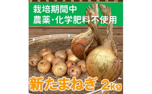 
                  生でもおいしい！新玉ねぎ（2kg）【栽培期間中農薬化学肥料不使用】
                