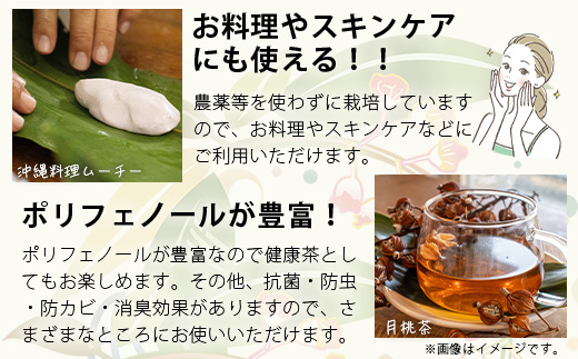 「月桃の苗」大1株（特別栽培、栽培期間中農薬不使用）【 沖縄県石垣市 月桃 農薬不使用 化学肥料不使用 苗 離島のいいもの 沖縄いいもの石垣島 】OI-14