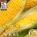 【ふるさと納税】【甘い】 スイートコーン （プレミアム味来） 10～15本入 とうもろこし トウモロコシ 野菜 糖度18~20℃ 鹿島市産 佐賀県産 春 夏 旬【2024年7月中旬～下旬発送】 B-779