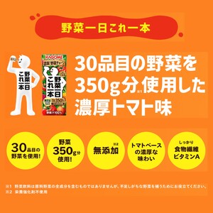 【11ヶ月連続お届け】カゴメ 野菜一日これ一本（24本入）【ジュース・野菜ミックス濃縮ジュース 】