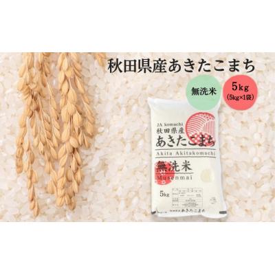 ふるさと納税 羽後町 無洗米 秋田県産 あきたこまち 5kg(5kg×1袋) 令和6年産[No.5325-0338]