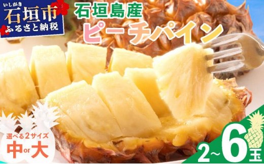 
                  石垣島産 ピーチパイン 【大玉・中玉】 | パイン 果物 期間限定 産地直送 送料無料 沖縄県石垣市 パイナップル 甘くて美味しい ジューシーな果肉
                
