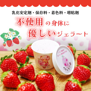 ジェラート 4個 いちご 4種