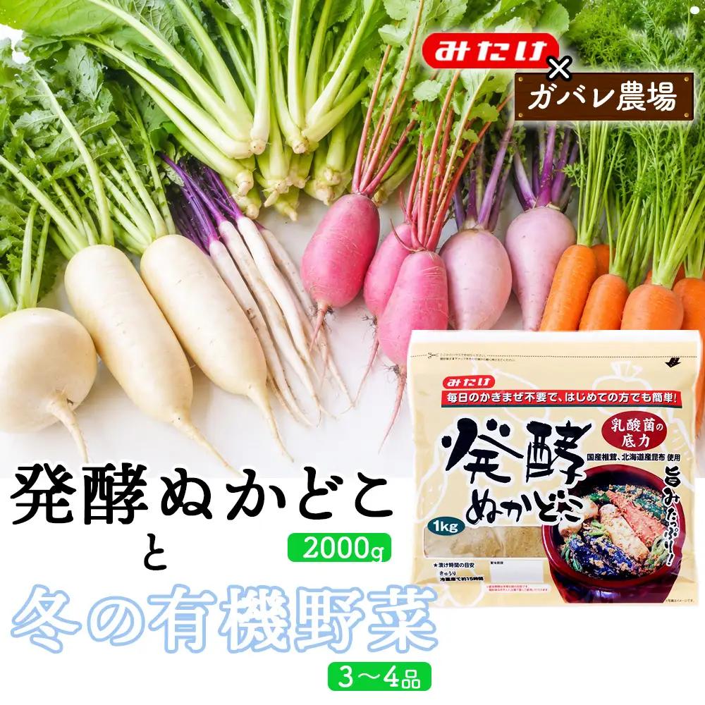 【コラボD】発酵ぬかどこ1kg×2＆冬の有機野菜3～4品 No.619