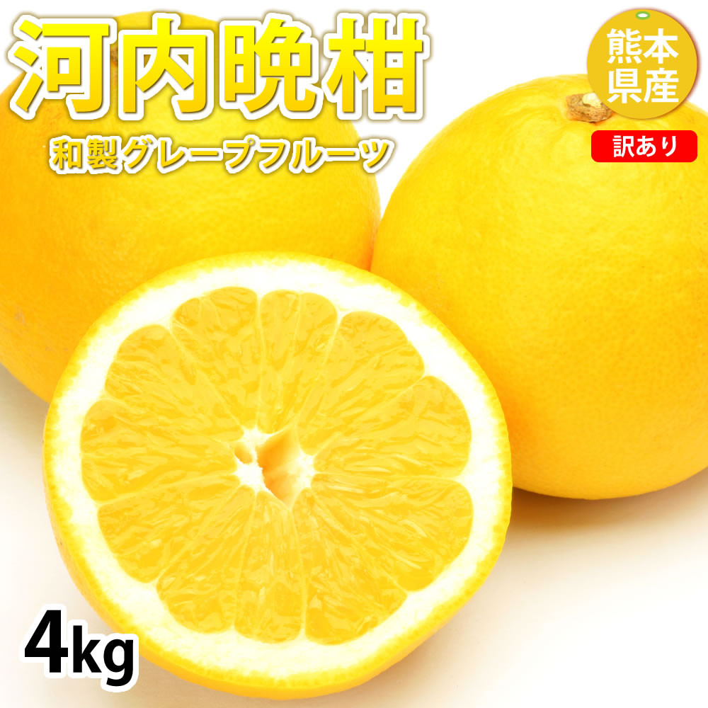 
                  ＜ R8年熊本地震復興支援 ＞訳あり 河内晩柑 4kg 晩柑 ばんかん 柑橘類 果物 フルーツ 【2027年3月下旬～7月下旬迄発送予定】
                