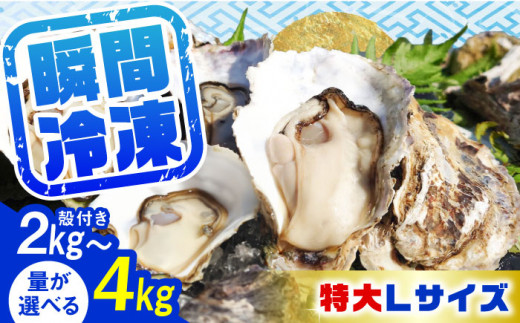 殻付き牡蠣 4kg 江田島市／株式会社門林水産 [XAO031]