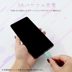 グラデーションケーブル USB-A to USB-C iPhone16e 16 15 Android各種 急速充電 データ転送対応 ケーブルバンド付 1m 2年保証 (MOT-SCBACG100) メ