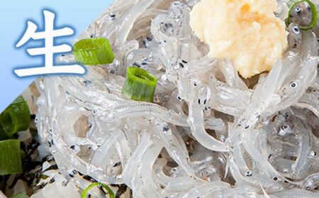 生しらす 釜揚げしらす セット  【 とびっちょ YTB003 】