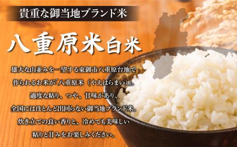 令和6年新米予約【3回定期便】八重原米6kg（2kg×3袋）白米