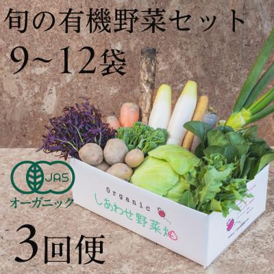 ふるさと納税 掛川市 【毎月定期便】しあわせ野菜畑の有機野菜　Lセット　(安心の有機JAS認証　オーガニック野菜)全3回