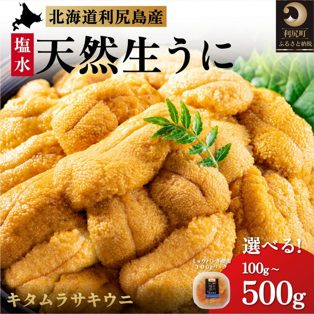 【ふるさと納税】◆2025年発送予約◆ 利尻島産 キタムラサキウニ 選べる100g～500g（1パック100g）ミョウバン不使用 刺身 朝どれ 生うに ウニ うに 雲丹 天然 uni 新鮮 海の幸 海鮮 濃厚 海の幸 贈答 ギフト 北海道 利尻島