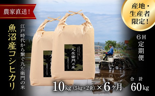 【令和8年産 新米 先行予約】【6ヶ月定期便】 魚沼産コシヒカリ 10kg(5kg×2袋) 九左衛門の米 農家直送 | 白米 精米 ブランド米 こしひかり お米 おこめ こめ コメ おすすめ 人気 ギフト プレゼント 新潟県 津南町