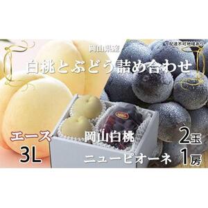 桃 ぶどう 2026年 岡山 白桃 エース 2玉×約300g（3Lサイズ、早生種・中生種）ニュー ピオーネ 1房約600g 詰め合わせ 岡山県産 フルーツ