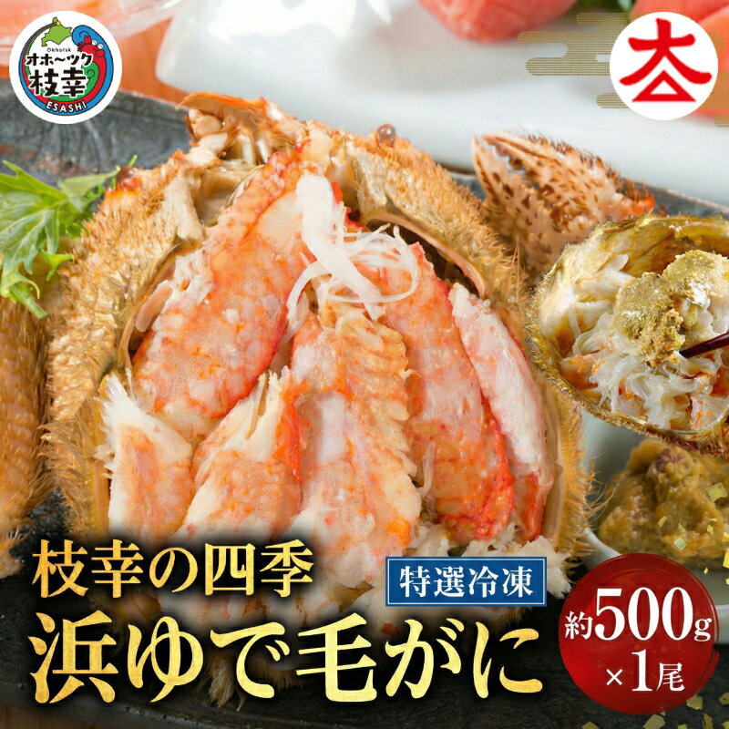 【ふるさと納税】枝幸の四季 浜ゆで毛がに 約500g×1尾［枝幸海産］流氷 海明け【 カニ 蟹 毛ガニ 毛がに 毛蟹 浜ゆで 浜茹で 冷凍 北海道 オホーツク 枝幸 】