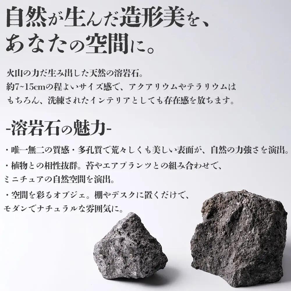 阿蘇溶岩石 サイズはお任せ3kgセット