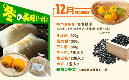 【計2回定期便】ふるさと小包詰め合わせ 年2回 7月・12月便 美馬市ふるさと小包推進協議会《年2回定期便：7月出荷、12月出荷》