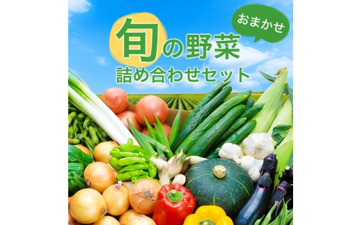 
野菜 詰め合わせ セット ( おまかせ 詰め合わせ ) 旬 旬野菜 季節の野菜 新鮮 産地直送 産直野菜 人気 美味しい 送料無料 【1017731】
