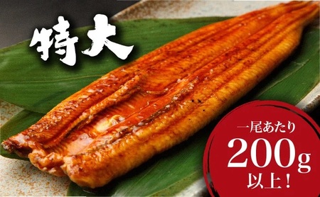 ＜2026年7月配送＞うなぎ蒲焼き 400g (200g×2尾) 